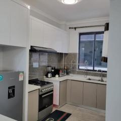 modern and stylish apartments in kilimani