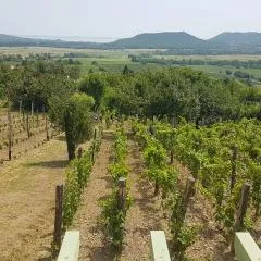 Grand Cru 4 Vendégház