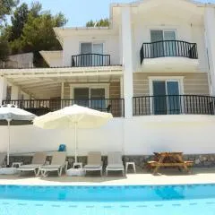 Villa Sarisli 1