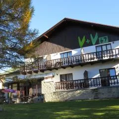 V+V Pension