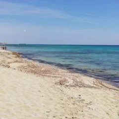 Af campomarino