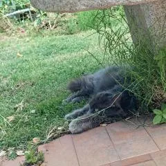Casa al Mare con Giardino Privato