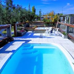 Nelumbo Petit Chalet