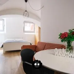 Flat Il Torrazzo XIII Secolo