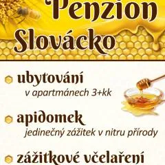 Apidomek