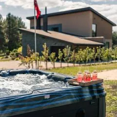 Paežerės istorijos, Druskininkai