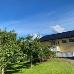 Sjarmerende hus i havgapet i Selje