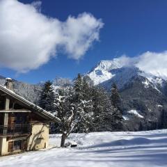 La ferme des ours - sur les pistes, vue Mont-Blanc