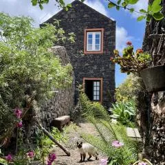 Cozy Rural House Las Guindas, El Hierro