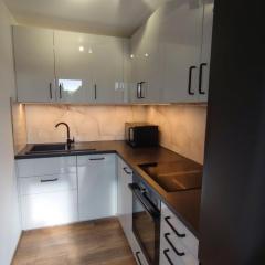 Apartament Dwie Sosny - 9 osobowy 600m od plaży