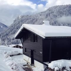 Chalet 6 pers à Châtel, proche centre et remontées, terrasse et équipements modernes - FR-1-676-135