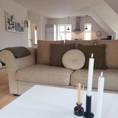 Grand Luxury Apartment In The Center Of Hjoerring