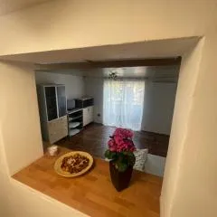 Mini domek