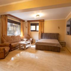 Walter Home Bușteni with Private Terrace