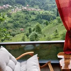 Mezrasuit Bungalov
