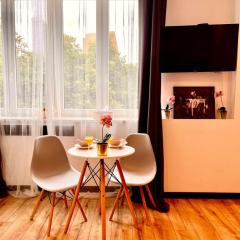 Nice 1Room Condo WarszawaCenter