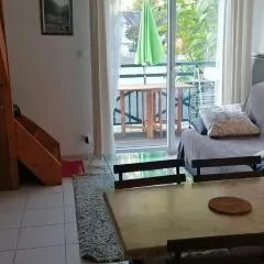 Appartement cosy à Saint-Mamet - 36 m² - Vue montagne