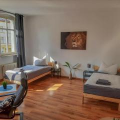 Ferienwohnungen fußläufig zur Stadt, Smart-TV, WLAN & Platz für Paare & Gruppen