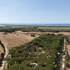 Costa D'Argento - Camping Village Club Capalbio
