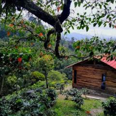 Cabaña cafetera con hermosa vista