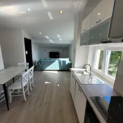 Apartman Andy