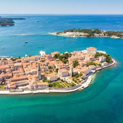 Studio apartment in Porec with balcony, air conditioning, WiFi 819-7