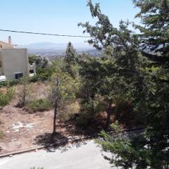 Ferienwohnung zwischen City Athen Strand und Flughafen in den Bergen
