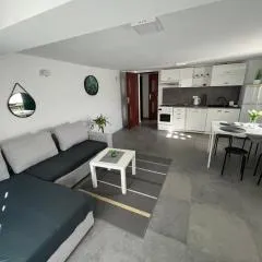 Apartament Koninki