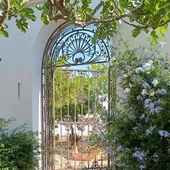 Finca Olivo Llorón
