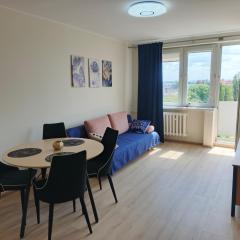 Nad Motławą , Szopy 3