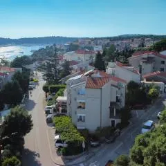 Apartments Antic
