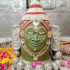 Shree mohan guest house