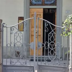 viola