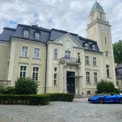 Pałac Borowa