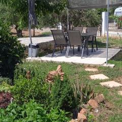 Elizabeth's apartment2