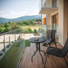 Panorama Karkonoszy Verde