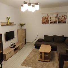 Apartmán Brdy