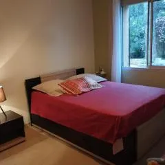 Les Cèdres