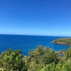 Le relais des tortues