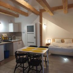 Paprotówka apartament SŁONECZNY