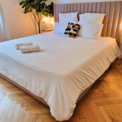 Jazzy et Spacieux Appartement Prom des Anglais