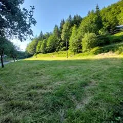 Only Meadow - place for camping