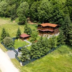 Casa Bucuriei - Plaiul Foii, Zărnești
