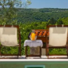 Beautiful Villa Cartolina with pool in Buje