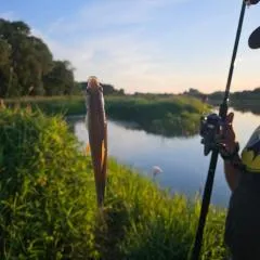 Dom z linią brzegową Narwi 3