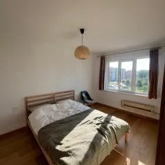 Amber Seeker's Retreat