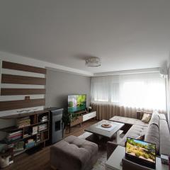 Cozy Nest Apartment Konjic