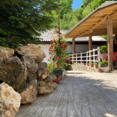 Guest House BOZVILL