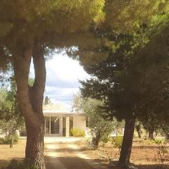 Trullo Contrada Specchi