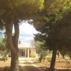 Trullo Contrada Specchi